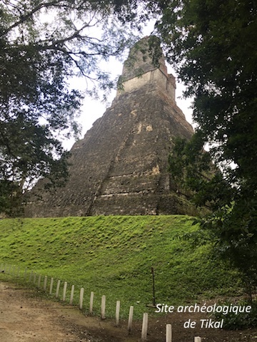 Tikal 5
