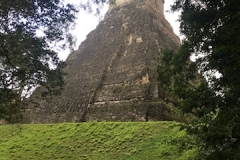 Tikal 5