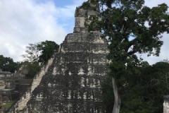 Tikal 2