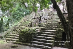 Tikal 3