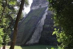 Tikal 4