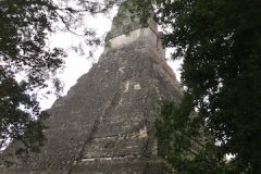 Tikal